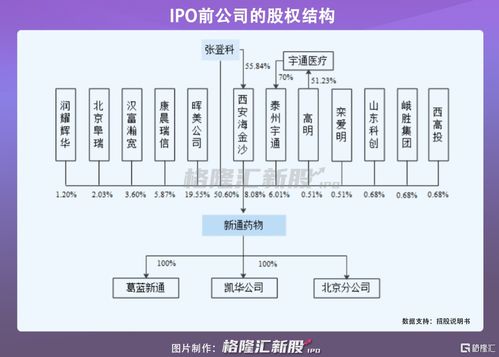 新通藥物沖刺科創(chuàng)板 尚未盈利的創(chuàng)新藥企，授權(quán)與合作開發(fā)模式下的機(jī)遇與挑戰(zhàn)